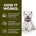 Load image into Gallery viewer, Dog with text explaining a dietary supplement regimen on a green background