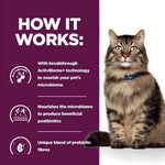 Load image into Gallery viewer, Cat with text explaining ActivBiome technology on a purple background