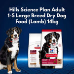 Load image into Gallery viewer, Hills Science Plan Adult 1-5 Large Breed Dry Dog Food packaging with a dog on a blue gradient background