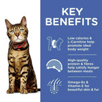 Load image into Gallery viewer, Cat with key benefits of a pet food product on a blue background