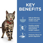 Load image into Gallery viewer, Cat with a red collar on a white background, next to a blue panel with key benefits text.