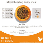 Load image into Gallery viewer, IAMS Advanced Nutrition Adult Cat with Chicken