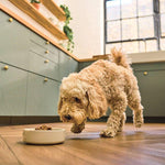 Load image into Gallery viewer, Lily's Kitchen Adult Dry Dog Food - Breakfast Crunch