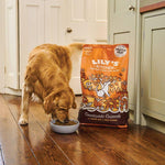 Load image into Gallery viewer, Lily's Kitchen Adult Dry Dog Food - Chicken, Duck and Sweet Potatoes