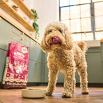 Load image into Gallery viewer, Lily's Kitchen Adult Dry Dog Food - Duck, Salmon and Venison