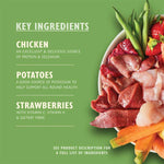 Load image into Gallery viewer, Lily s Kitchen An English Garden Party