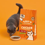 Load image into Gallery viewer, Lily's Kitchen Chicken Casserole Dry Cat Food