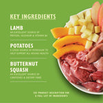 Load image into Gallery viewer, Lily's Kitchen Lamb Hotpot