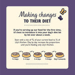 Load image into Gallery viewer, Lily's Kitchen Senior Dry Dog Food - Turkey and Trout