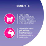 Load image into Gallery viewer, PURINA ONE Junior / Kitten Chicken and Whole Grains Dry Cat Food