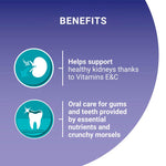 Load image into Gallery viewer, PURINA ONE Senior 11+ Chicken and Whole Grains Dry Cat Food