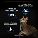 Load image into Gallery viewer, PURINA PRO PLAN Sterilised Senior 7+ Longevis - Turkey