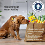 Load image into Gallery viewer, Pedigree Dentastix Fresh - Daily Oral Care for Medium Dogs (10-25kg)