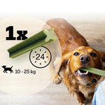 Load image into Gallery viewer, Pedigree Dentastix Fresh - Daily Oral Care for Medium Dogs (10-25kg)