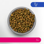 Load image into Gallery viewer, Perfect Fit Adult 1+ Rich in Chicken