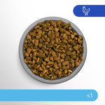 Load image into Gallery viewer, Perfect Fit Junior <1 Rich in Chicken