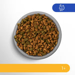 Load image into Gallery viewer, Perfect Fit Sensitive 1+ Rich in Turkey