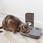 Load image into Gallery viewer, PetSafe® Automatic 2 Meal Pet Feeder