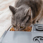 Load image into Gallery viewer, PetSafe® Automatic 2 Meal Pet Feeder