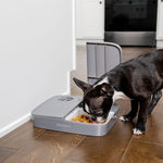Load image into Gallery viewer, PetSafe® Automatic 2 Meal Pet Feeder