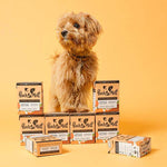Load image into Gallery viewer, Pooch and Mutt Wet Dog Food - Chicken, Pea and Pumpkin