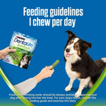 Load image into Gallery viewer, Purina Dentalife ActivFresh Daily Dental Care Snacks for Medium Breed Dogs