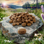 Load image into Gallery viewer, Purizon Adult Grain-Free Lamb with Fish