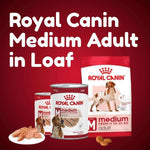 Load image into Gallery viewer, Royal Canin Medium Adult pet food products on a red background