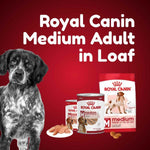 Load image into Gallery viewer, Dog next to Royal Canin Medium Adult in Loaf products on a red background