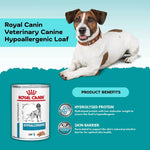 Load image into Gallery viewer, Dog lying next to a can of Royal Canin Veterinary Canine Hypoallergenic Loaf on a blue background