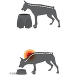 Load image into Gallery viewer, Savic Ergo Feeder Doggy Bar