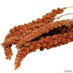 Load image into Gallery viewer, Savic Food Holder Pincer