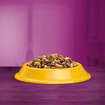 Load image into Gallery viewer, Whiskas 1+ Chicken