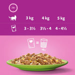 Load image into Gallery viewer, Whiskas 1+ Mixed Menu in Jelly