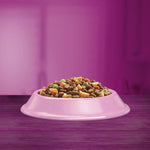 Load image into Gallery viewer, Whiskas 1+ Salmon