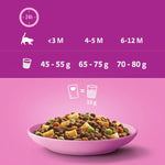 Load image into Gallery viewer, Whiskas Kitten with Chicken