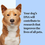 Load image into Gallery viewer, Wisdom Panel Breed Discovery Dog DNA Test