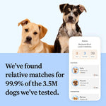 Load image into Gallery viewer, Wisdom Panel Breed Discovery Dog DNA Test