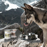 Load image into Gallery viewer, Wolf of Wilderness Stainless Steel Non-Slip Dog Bowl