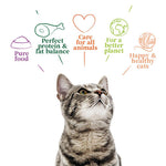 Load image into Gallery viewer, Yarrah Organic Fillets in Sauce Saver Pack 28 x 85g