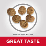 Load image into Gallery viewer, Dog kibble on a white background with 'GREAT TASTE' text