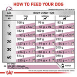 Load image into Gallery viewer, Feeding chart for dogs showing recommended food amounts based on weight and body condition.
