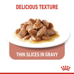 Load image into Gallery viewer, Cat food with thin slices in gravy on a white plate, labeled 'Delicious Texture' and 'Thin Slices in Gravy'.