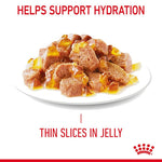 Load image into Gallery viewer, Dog food with thin slices in jelly on a white plate, labeled 'Helps Support Hydration' and 'Thin Slices in Jelly'.