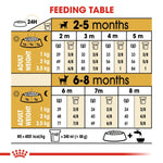 Load image into Gallery viewer, Feeding table chart for puppies aged 2-8 months with measurements and cup conversions.