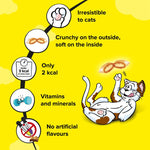 Load image into Gallery viewer, Cat food product description with cartoon cat on a yellow background
