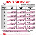 Load image into Gallery viewer, Feeding chart for cats with weight and body condition guidelines.