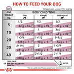 Load image into Gallery viewer, Feeding chart for dogs showing recommended amounts of food based on weight and body condition.