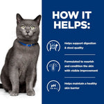 Load image into Gallery viewer, Gray cat wearing a blue collar with text on a white and blue background
