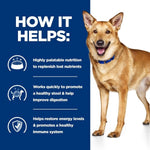 Load image into Gallery viewer, Dog with text on a blue background about the benefits of a product for dogs.